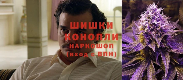 гашик Белоозёрский