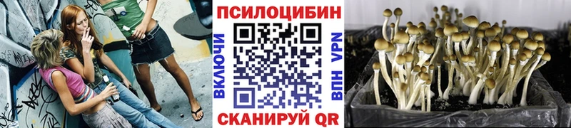 Купить закладки  Арск  Галлюциногенные грибы MAGIC MUSHROOMS 
